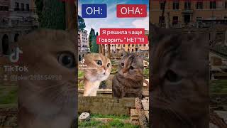 #коты #котики#смех #смешноевидео#прикол#юмор #fun #funnyvideo #funny#funnyshorts #funnycats #memes