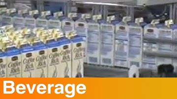 Shuttleworth - Side Transfer Conveyor Buffer