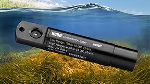 Connecting with Conductivity   Water Quality Monitoring Using HOBO Conductivity Salinity Data Logger