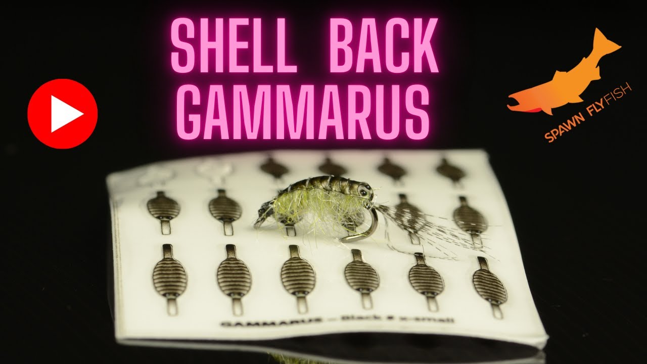 Shell Back Gammarus for Trout- Fly Tying Tutorial - YouTube