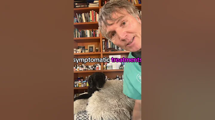 Coughing dog can be tracheal collapse- 3 effective home remedies!