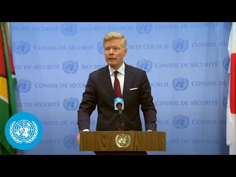Special Envoy for Yemen on the Country: Media Stakeout | Security Council | United Nations