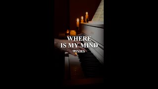 Where is my mind - Pixies - piano cover #pianist #pianocover #pixies #fightclub