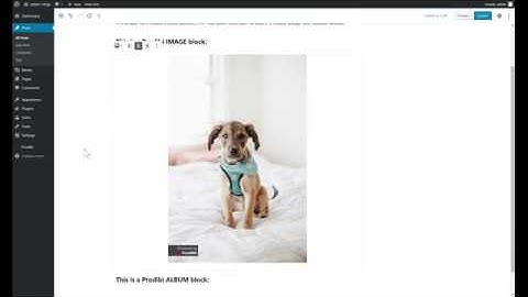 How to embed full-resolution web galleries on WordPress with Gutenberg Blocks