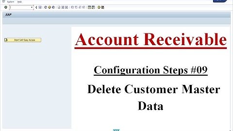 AR Config Step #09 Delete Customer Master Data OBR2