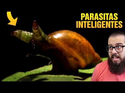 6 parasitas INTELIGENTES que você nunca viu antes