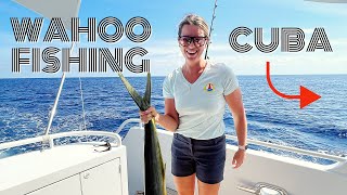 Wahoo Catch Clean Cook🐠Yacht Crew Fishing