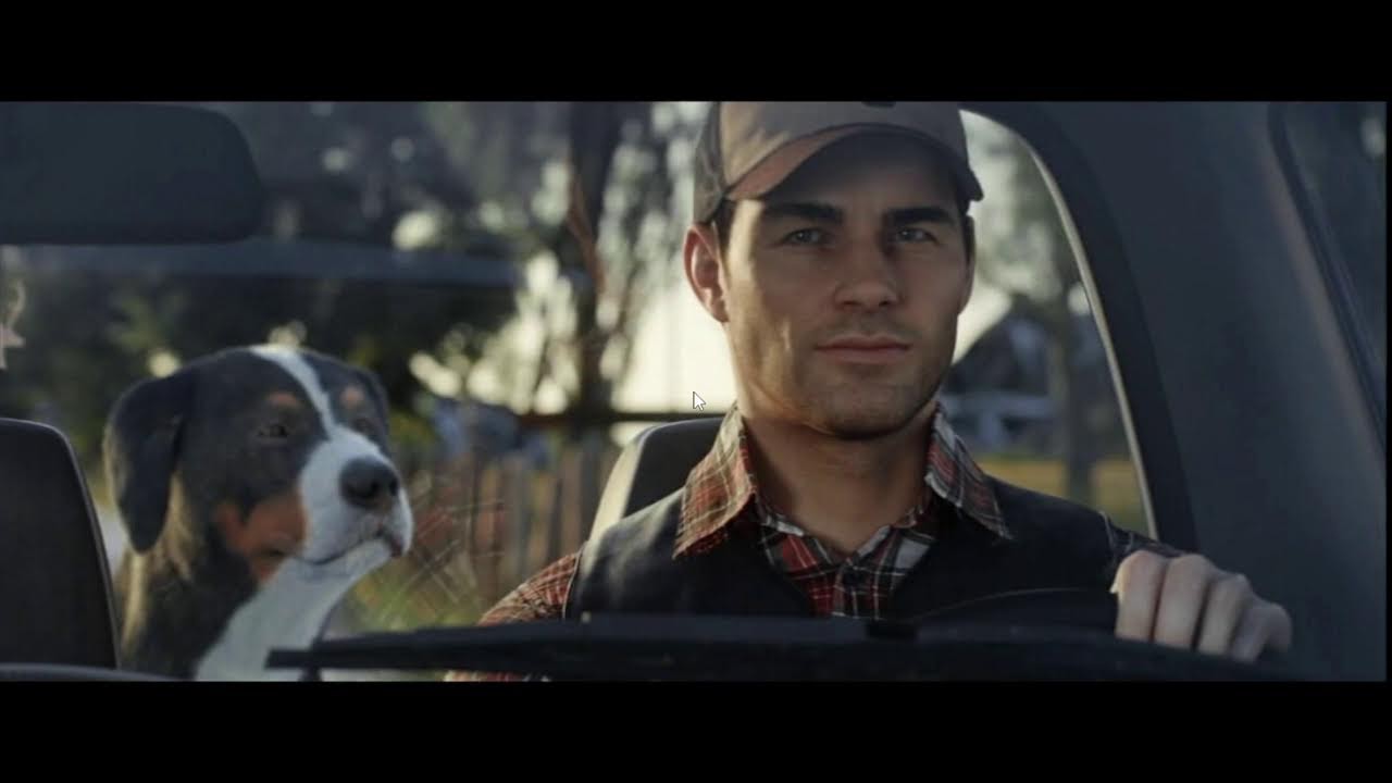 farming feed cow sheep pig