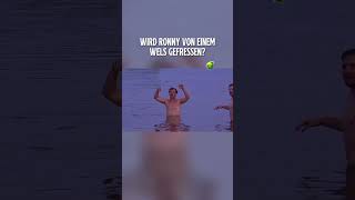 Ronny vom Wels gefressen?😵 #kanutour #kanutour2025 #elbe #twitch #livestream