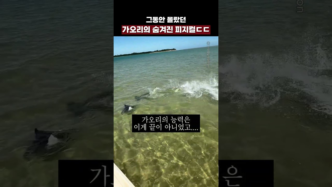 그동안 몰랐던 가오리의 숨겨진 피지컬ㄷㄷ