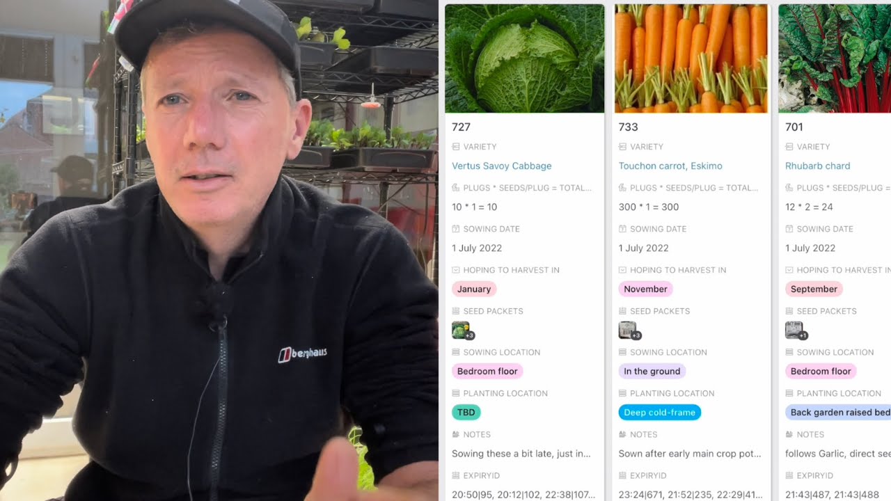 Sowings for July & August | what to sow for autumn, winter and spring harvests