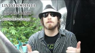 VaderVision - Cannapocalypse Day 54