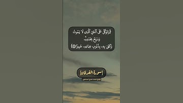 سورة الفرقان الآية ٥٧ الى ٦٠ بصوت الشيخ محمد صديق المنشاوي