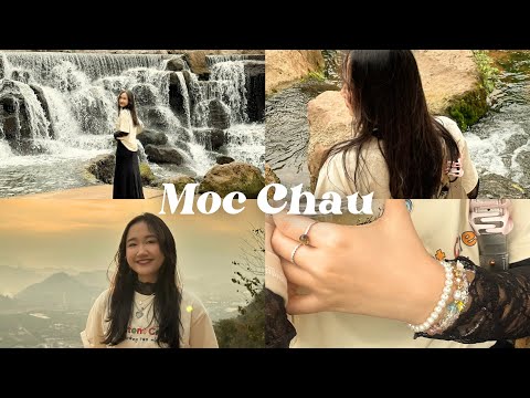 Du xuân Mộc Châu đi mấy chỗ này nè, đẹp lắm | 2 ngày 1 đêm ở Mộc Châu | A Dreaming Donut 🍩