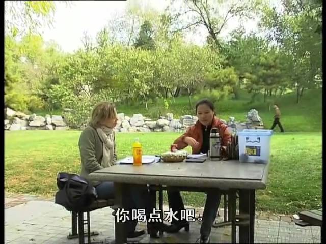 New Practical Chinese Reader 4 Lesson 49