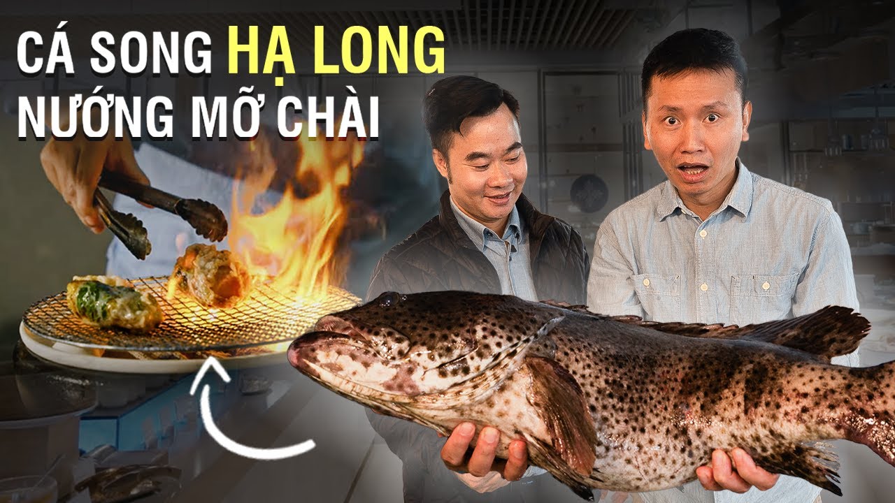 Outline Video Bonjour Chef Đạt & Cá Song nướng mỡ chài "độc đáo"