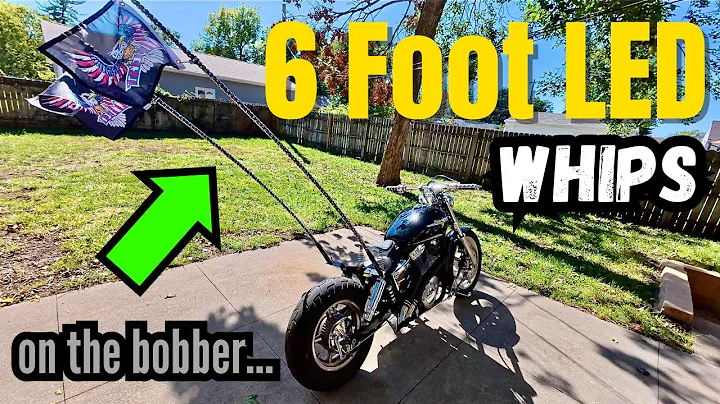 The best LED whips you should buy / Holy moly...