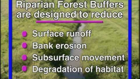 Agroforestry Practices - Riparian Forest Buffers