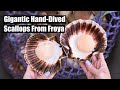 Nordic Signature Ingredients (Norway) – Gigantic Hand-Dived Scallops From Frøya