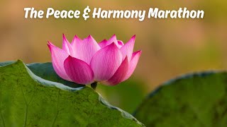 The Peace & Harmony Marathon | Soft, Calming, Emotional Music by Villy Kleppe