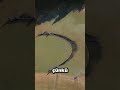 Göletteki Balıkları Son Anda Böyle Kurtardılar!