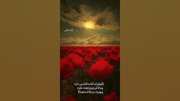 سوره الفتح   ماهر المعيقلي Surah Al-Fath Maher Al-Muaiqly