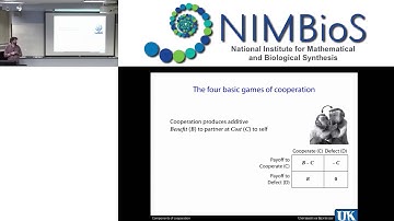 Components of cooperation: Synergy in structured populations and the evolution of guilt