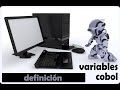 Como declarar una variable en cobol