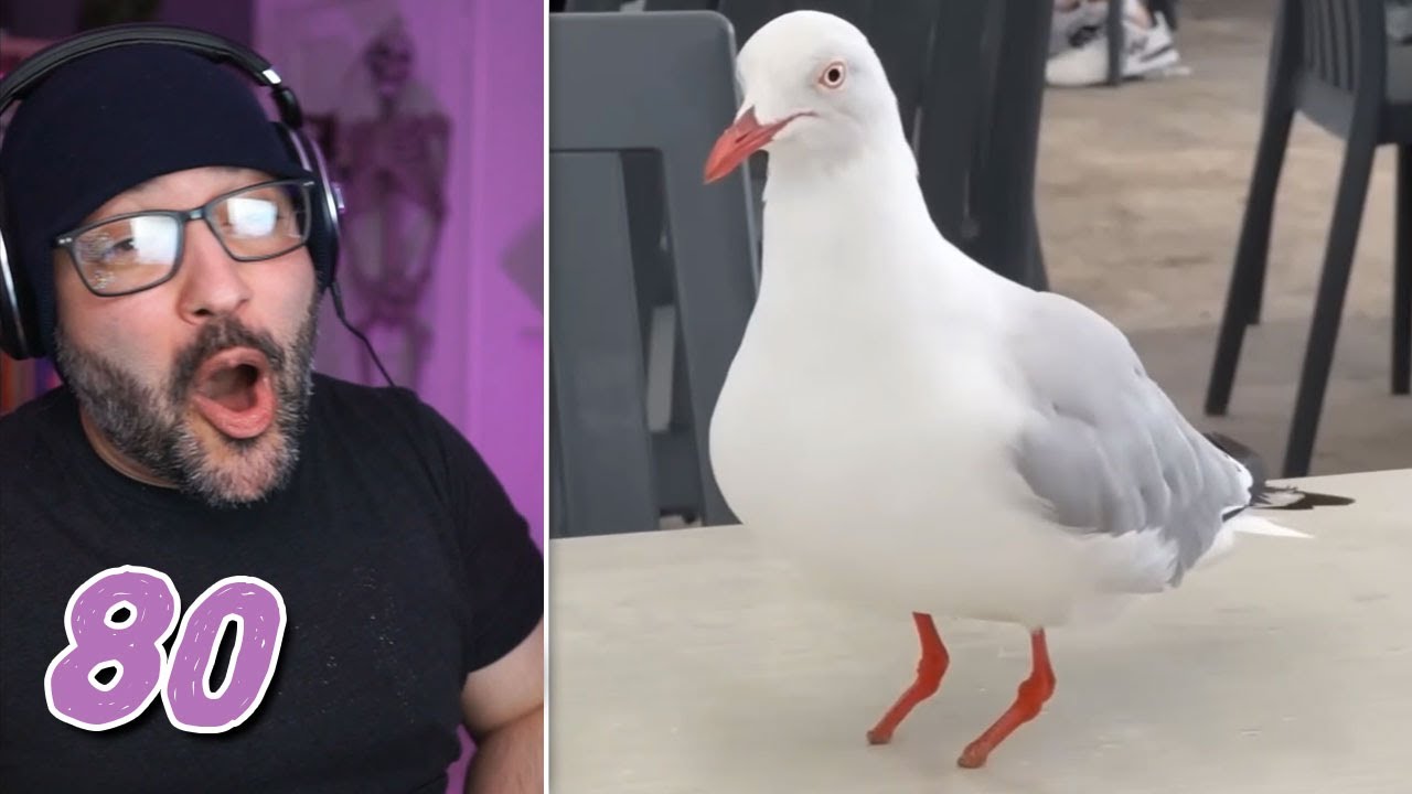 Mikey Reacts To Daily Dose Of Internet EP 80