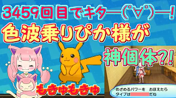 波乗りピカチュウ 厳選 波乗りピカチュウ 厳選