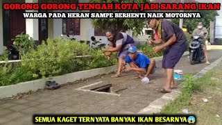 SHOCKING...!!! Fishing In A City Storm Drain Draws A Crowd...!!!