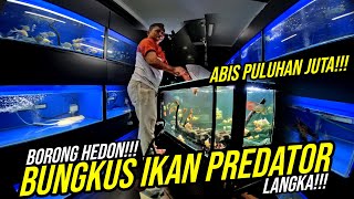 ISENG HUNTING JADI KHILAF BORONG!!! DAPAT IKAN PREDATOR LANGKA DAN IKAN PREDATOR ASLI MADAGASCAR !!!