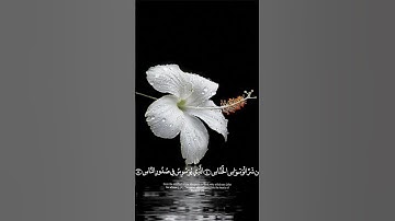 سورة الناس بصوت عبد الرحمان السديس#السديسي #قران_كريم #عبدالرحمن_السديس