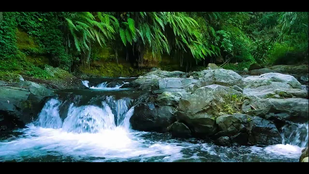 Peaceful Jungle River Flowing Through a Misty Green Forest Soothing Water Sounds Sleep & Meditation