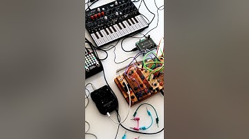 MicroFreak + Norns Shield + Cocoquantus2 and ZOIA