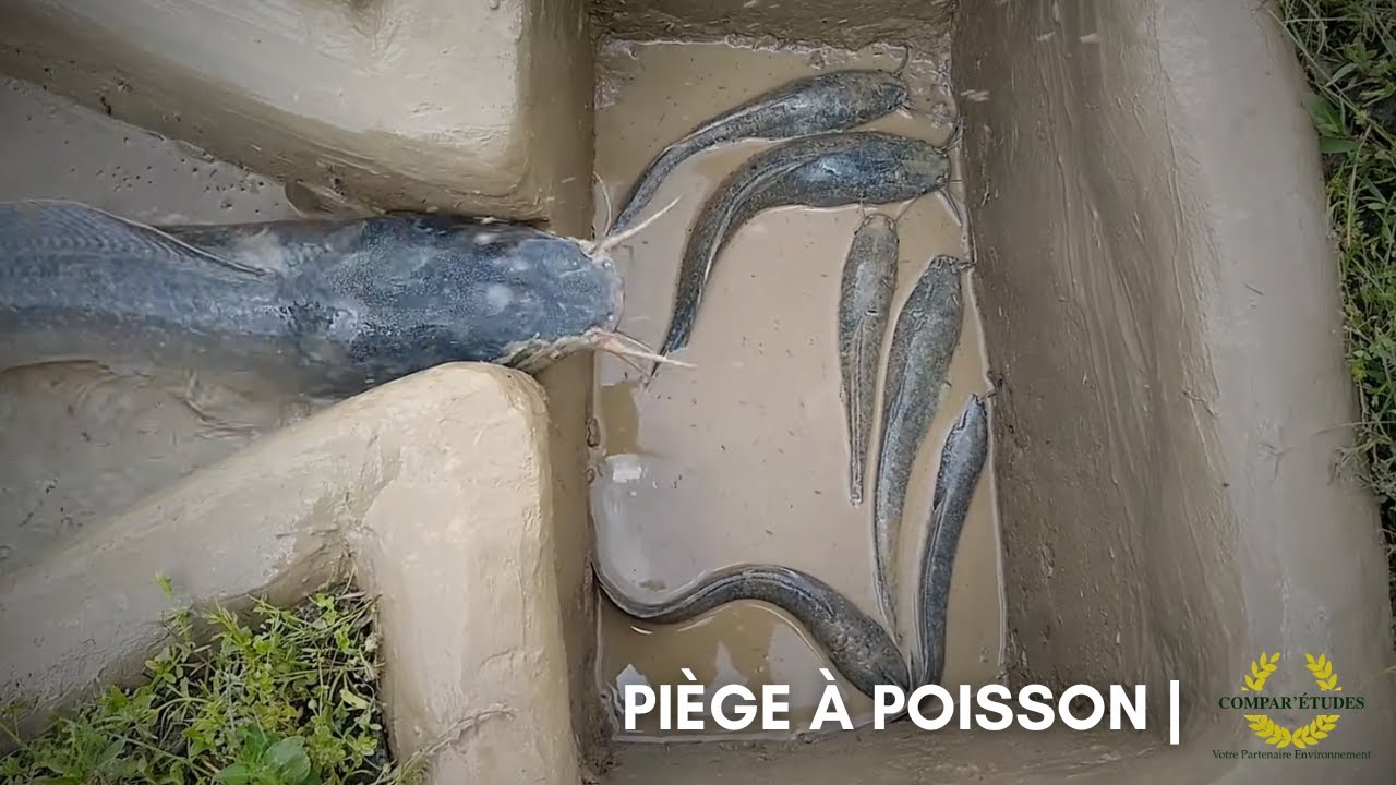 Tutoriel | Construire son piège à poissons facilement - YouTube