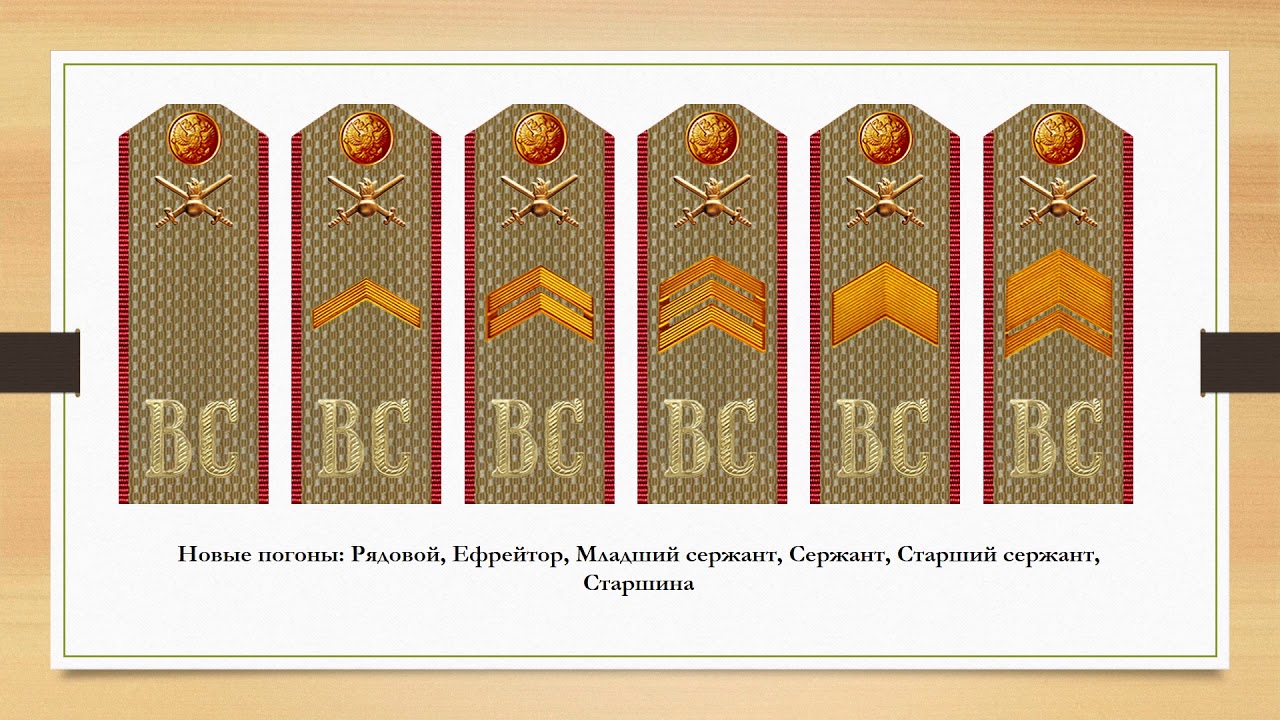 Воинские звания в беларуси погоны в картинках