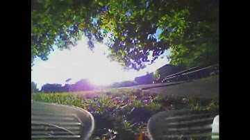 Freestyle Tree Flow | Beta65S Lite | Silverware NFE | Tiny Whoop