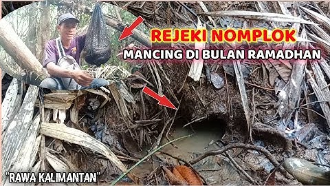 SUBHANALLAH...!! REJEKI NEMU SARANG ISINYA LEMBAT BESAR SEMUA || MANCING IKAN LEMBAT @bang_all_jak
