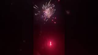 Shark Bite Firework