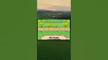 COWCOIN Web3 Cryptocurrency | Website Framer Template Design