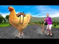 Giant Chicken विशाल मुर्गी Funny Comedy Story Hindi Kahaniya हिदी कहानिय Hindi Comedy Video