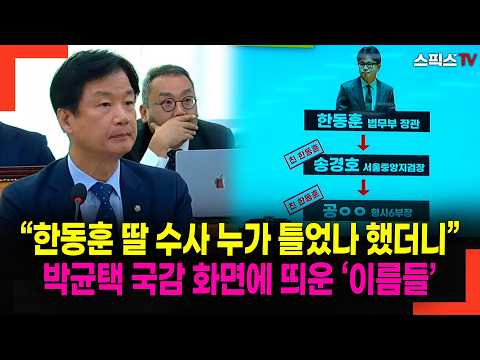 “한동훈 딸 수사 누가 틀었나 했더니” 박균택 국감 화면에 띄운 ‘이름들’