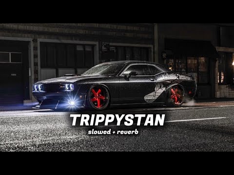 Trippystan slowed and reverb sound
