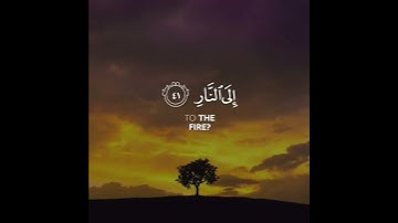 سورة غافر | القارئ محمد المقيط