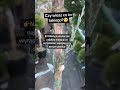 Czy wiesz co to takiego? Zaobserwuj po więcej informacji