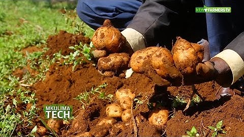 Data driven Agriculture is the now and future