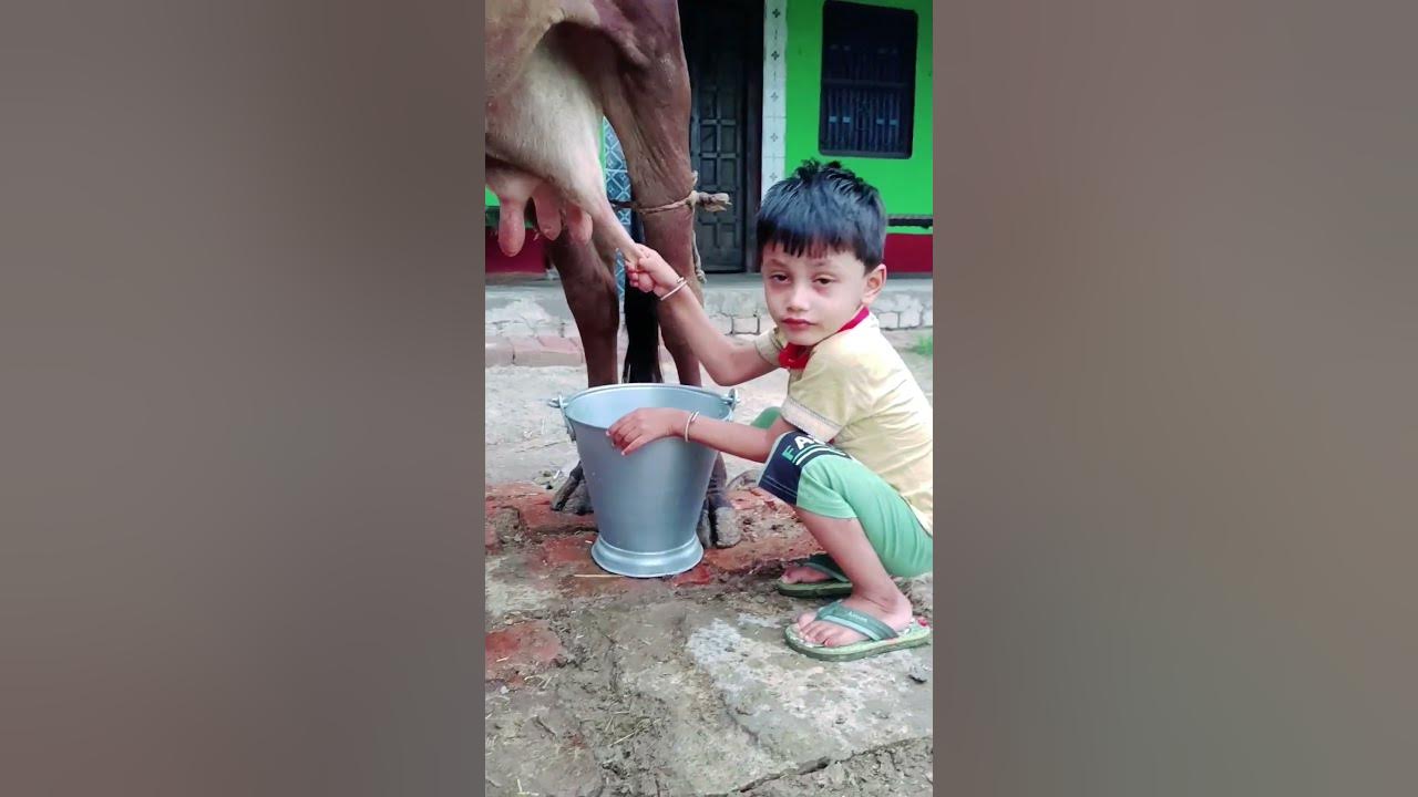 choti choti gaiya dyttyy fh #love #song #funny choti choti gaiya dyttyy fh #love #song #funny