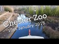 Chester Zoo - Winter 10th January 2018