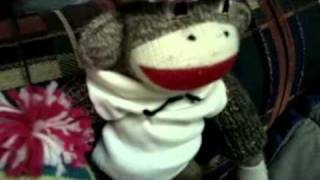 The Great Sockmonkey Adventure